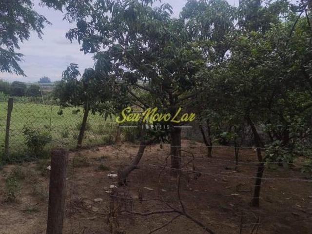 Sítio e chácara venda em Cardeal, Elias Fausto