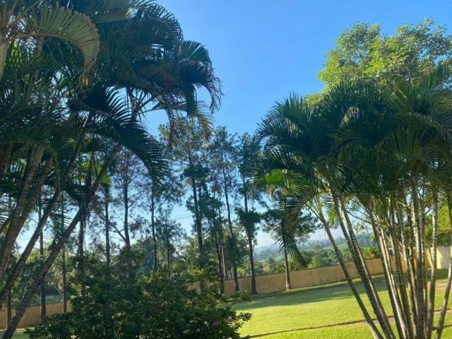 Sítio e chácara venda em Elias Fausto