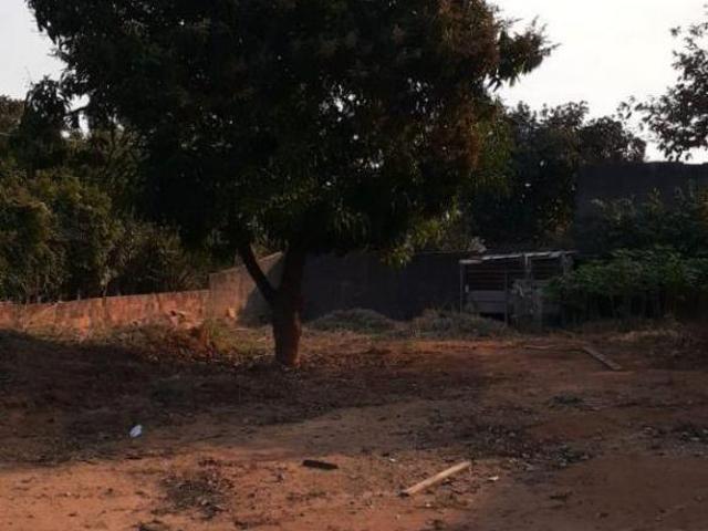 Sítio e chácara venda em Elias Fausto