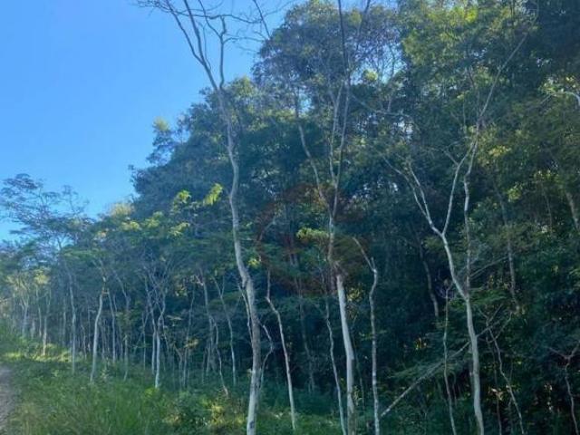 Sítio e chácara venda em Embu das Artes