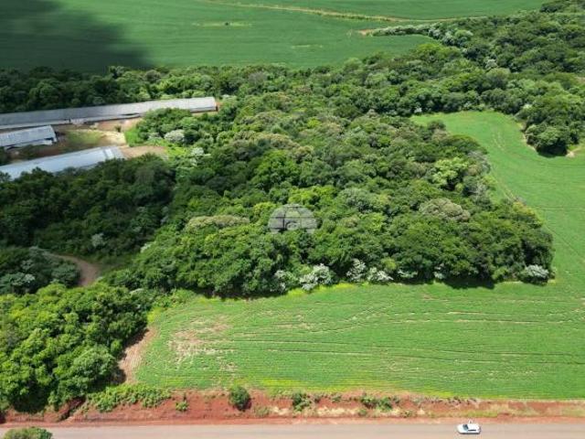 Sítio e chácara venda em Região Geográfica Imediata de Pato Branco, Região Sul