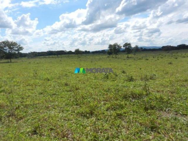 Sítio e chácara venda em Região Geográfica Imediata de Montes Claros, Bocaiúva