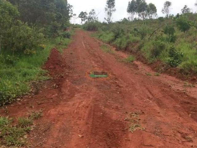 Sítio e chácara venda em Região Geográfica Imediata de Conselheiro Lafaiete, Entre Rios de Minas