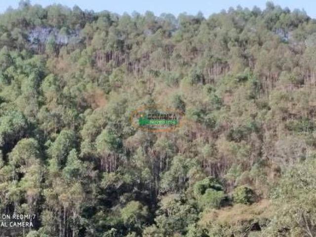 Terreno venda em Região Geográfica Imediata de Conselheiro Lafaiete, Entre Rios de Minas