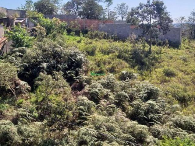 Terreno venda em Região Geográfica Imediata de Conselheiro Lafaiete, Conselheiro Lafaiete