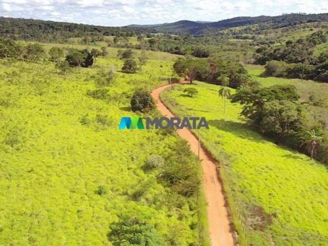 Sítio e chácara venda em Região Geográfica Imediata de Diamantina, Felício dos Santos