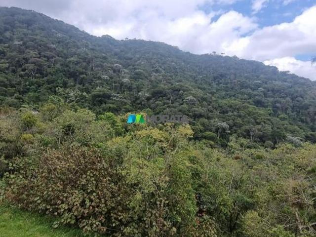 Terreno venda em Região Geográfica Imediata de Muriaé, Fervedouro