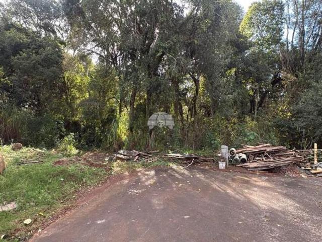 Terreno venda em Região Geográfica Imediata de Pato Branco, Região Sul