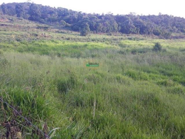 Sítio e chácara venda em Região Geográfica Imediata de Teófilo Otoni, Frei Gaspar