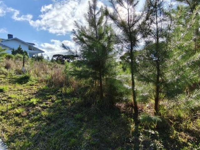 Terreno venda em Região Geográfica Imediata de Caxias do Sul, Gramado