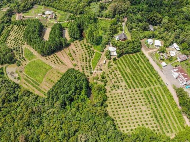 Terreno venda em Região Geográfica Imediata de Caxias do Sul, Gramado