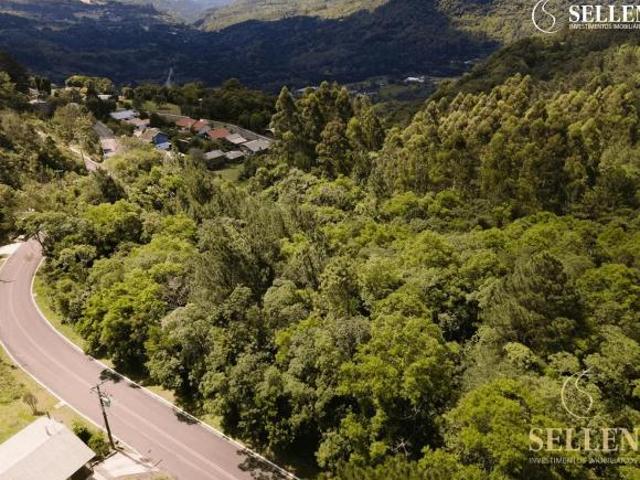 Terreno venda em Canela