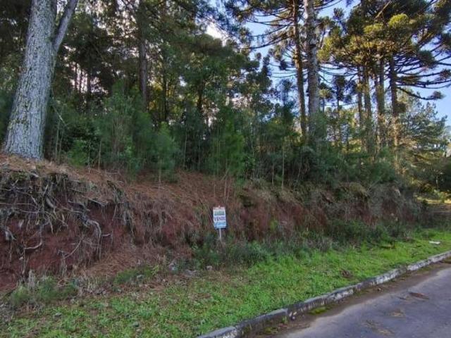 Terreno venda em Gramado