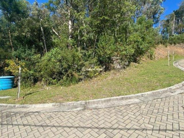 Terreno venda em Região Geográfica Imediata de Caxias do Sul, Gramado