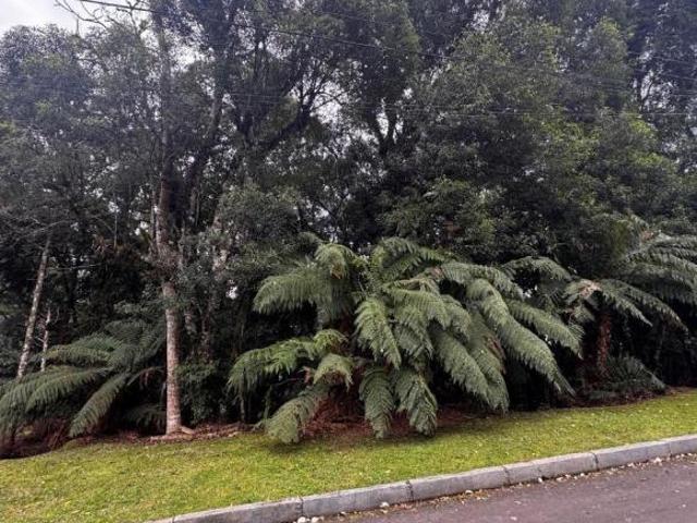 Terreno venda em Região Geográfica Imediata de Caxias do Sul, Gramado