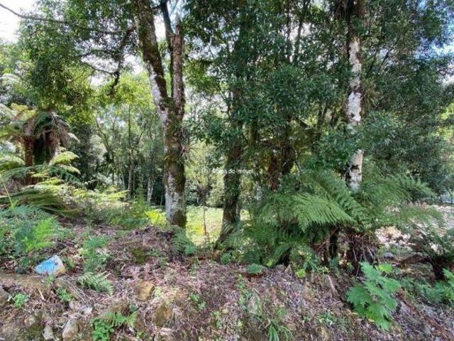 Terreno venda em Gramado, Região Geográfica Intermediária de Caxias do Sul