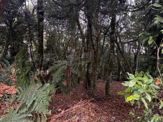 Terreno venda em Residencial Lagos de Gramado, Gramado