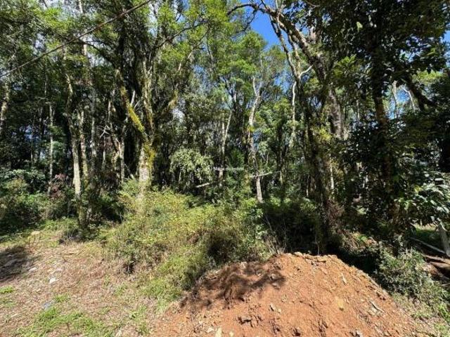 Terreno venda em Gramado, Região Geográfica Intermediária de Caxias do Sul