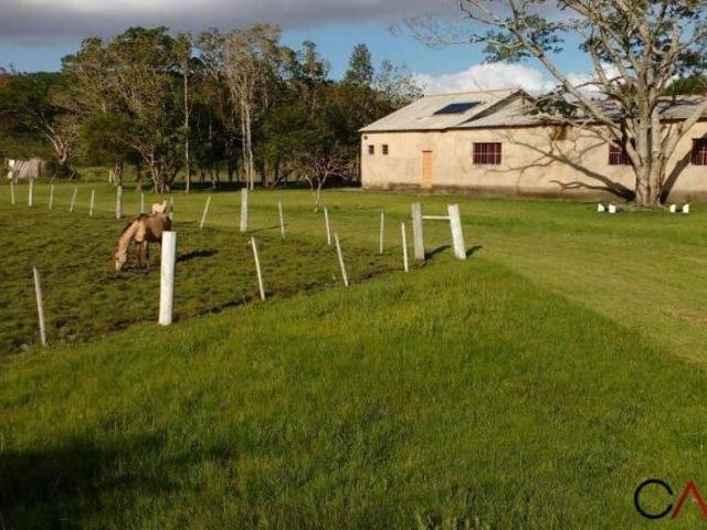 Sítio e chácara venda em Guaíba