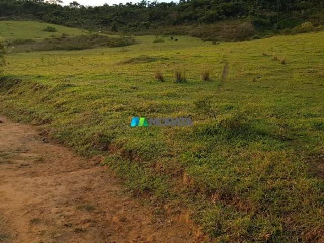 Sítio e chácara venda em Região Geográfica Imediata de Ponte Nova, Guaraciaba