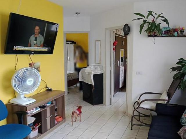 Apartamento venda em Região Geográfica Imediata de Curitiba, Região Metropolitana de Curitiba