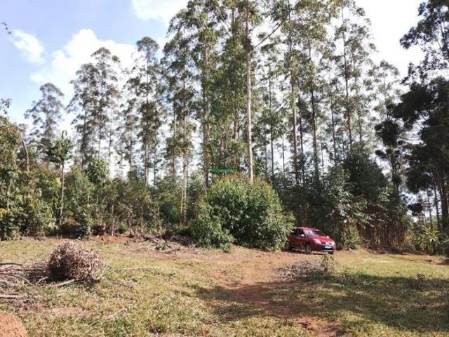 Sítio e chácara venda em Região Geográfica Imediata de Barbacena, Ibertioga