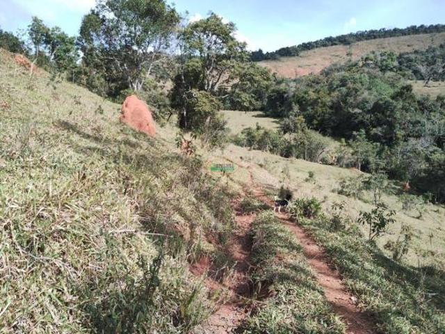 Sítio e chácara venda em Região Geográfica Imediata de Barbacena, Ibertioga