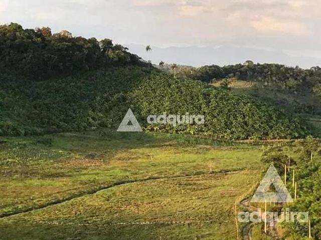 Sítio e chácara venda em Região Imediata de Registro, Iguape