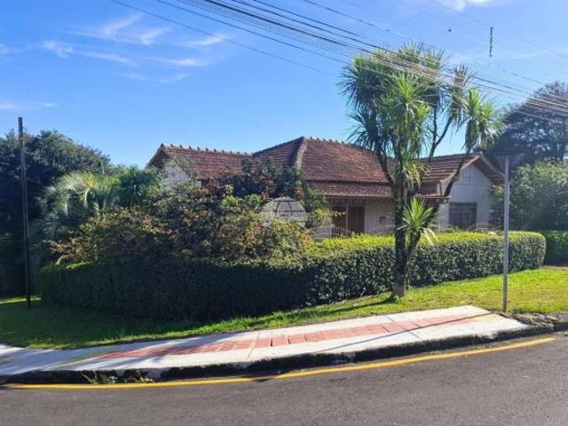 Terreno venda em Centro, Irati