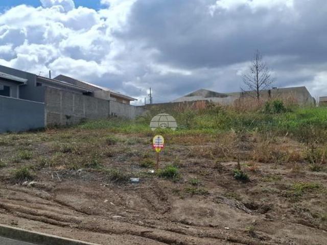 Terreno venda em Centro, Irati