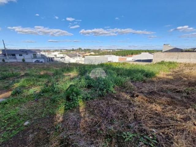 Terreno venda em Centro, Irati