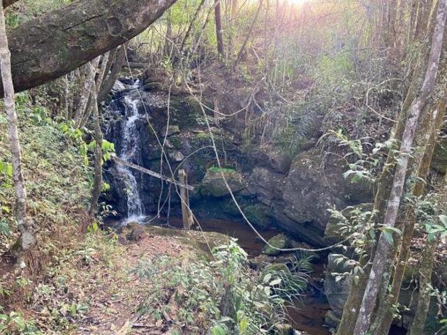 Sítio e chácara venda em Região Geográfica Imediata de Santa Bárbara - Ouro Preto, Itabirito