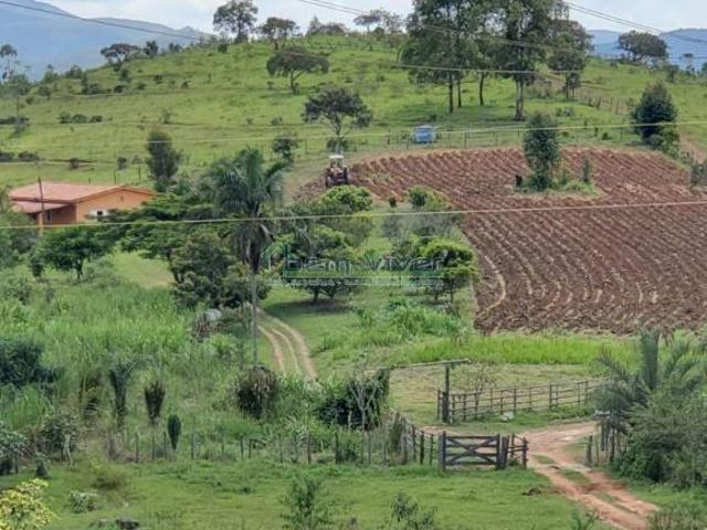 Sítio e chácara venda em Região Geográfica Imediata de Santa Bárbara - Ouro Preto, Itabirito