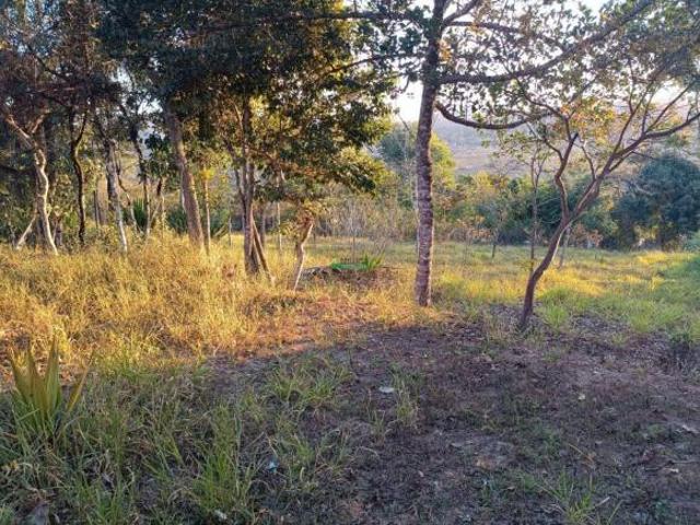 Sítio e chácara venda em Região Geográfica Imediata de Santa Bárbara - Ouro Preto, Itabirito