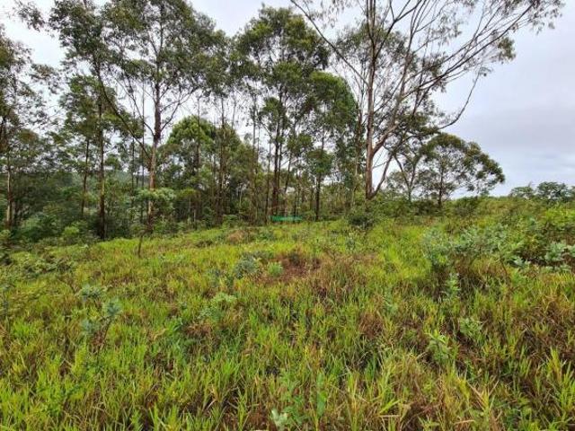 Terreno venda em Região Geográfica Imediata de Santa Bárbara - Ouro Preto, Itabirito