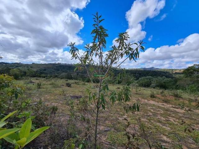 Terreno venda em Região Geográfica Imediata de Santa Bárbara - Ouro Preto, Itabirito