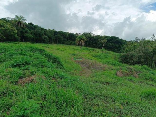 Sítio e chácara venda em Região Geográfica Imediata de Santa Bárbara - Ouro Preto, Itabirito