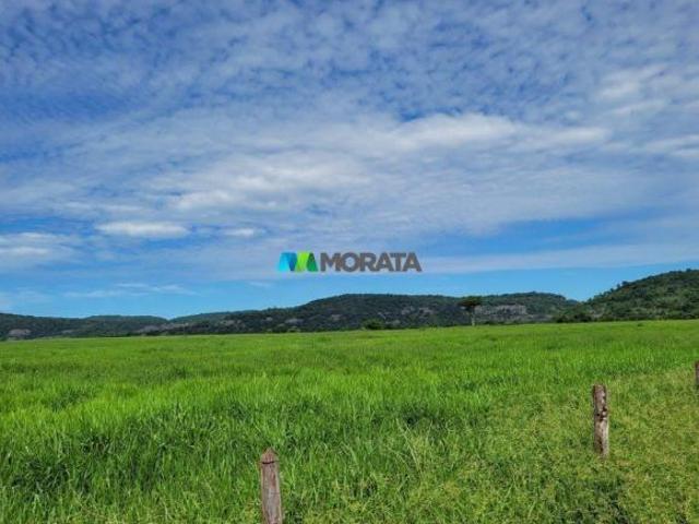 Sítio e chácara venda em Região Geográfica Imediata de Januária, Itacarambi