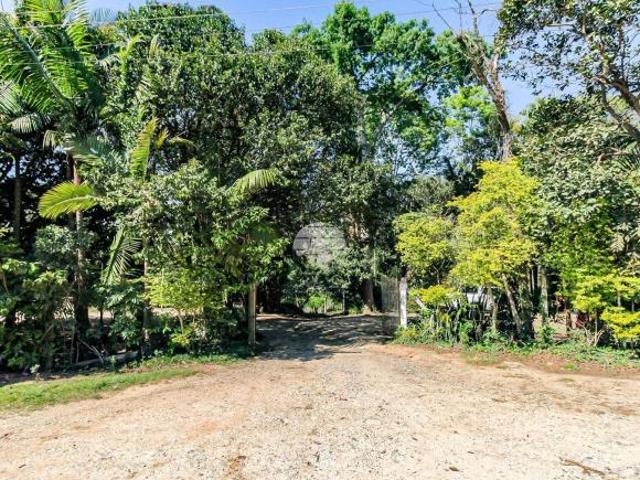 Sítio e chácara venda em Região Geográfica Imediata de Curitiba, Região Metropolitana de Curitiba
