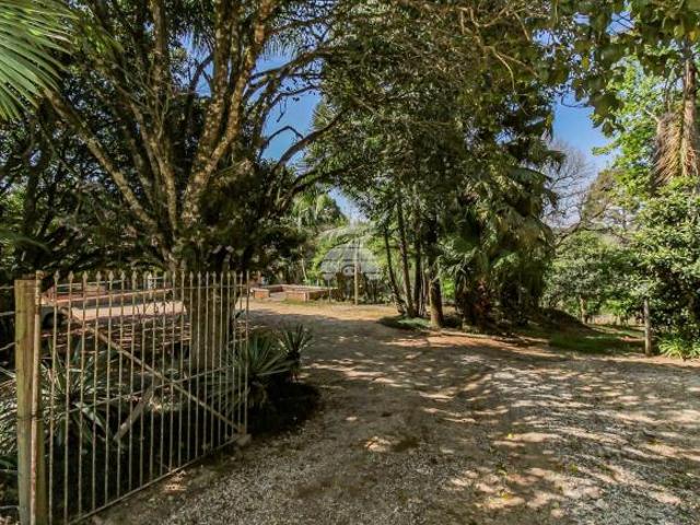 Sítio e chácara venda em Região Geográfica Imediata de Curitiba, Região Metropolitana de Curitiba