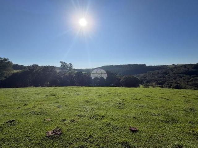 Terreno venda em Região Geográfica Imediata de Pato Branco, Itapejara d'Oeste