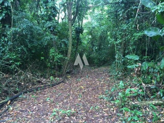 Sítio e chácara venda em Bairro Paraguai II, Itariri