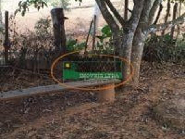 Sítio e chácara venda em Região Geográfica Imediata de Conselheiro Lafaiete, Itaverava