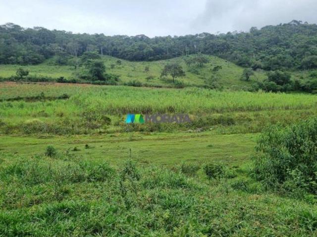 Sítio e chácara venda em Itaverava, Região Geográfica Intermediária de Juiz de Fora