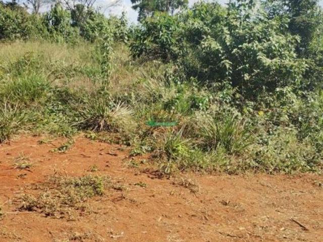 Sítio e chácara venda em Região Geográfica Imediata de Conselheiro Lafaiete, Itaverava