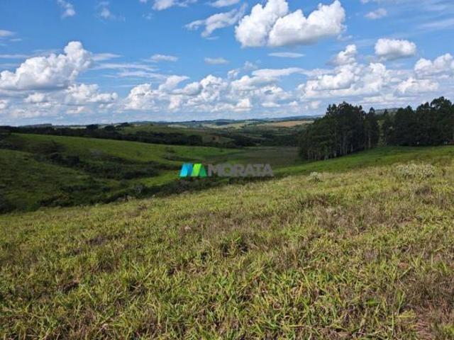 Sítio e chácara venda em Região Geográfica Imediata de Lavras, Itutinga