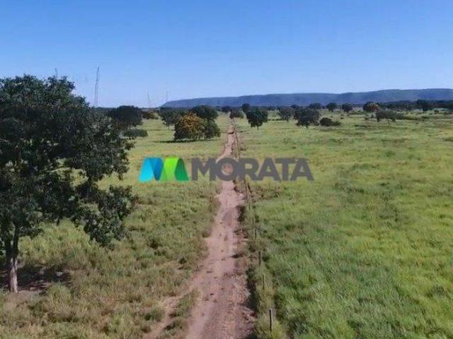 Sítio e chácara venda em Região Geográfica Imediata de Janaúba, Jaíba