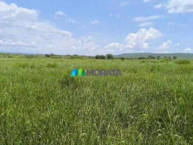 Sítio e chácara venda em Região Geográfica Imediata de Janaúba, Jaíba