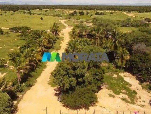 Sítio e chácara venda em Região Geográfica Imediata de Janaúba, Janaúba