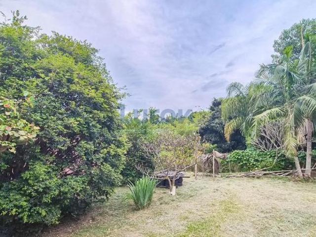 Sítio e chácara venda em Jardim São Bento do Recreio, Valinhos